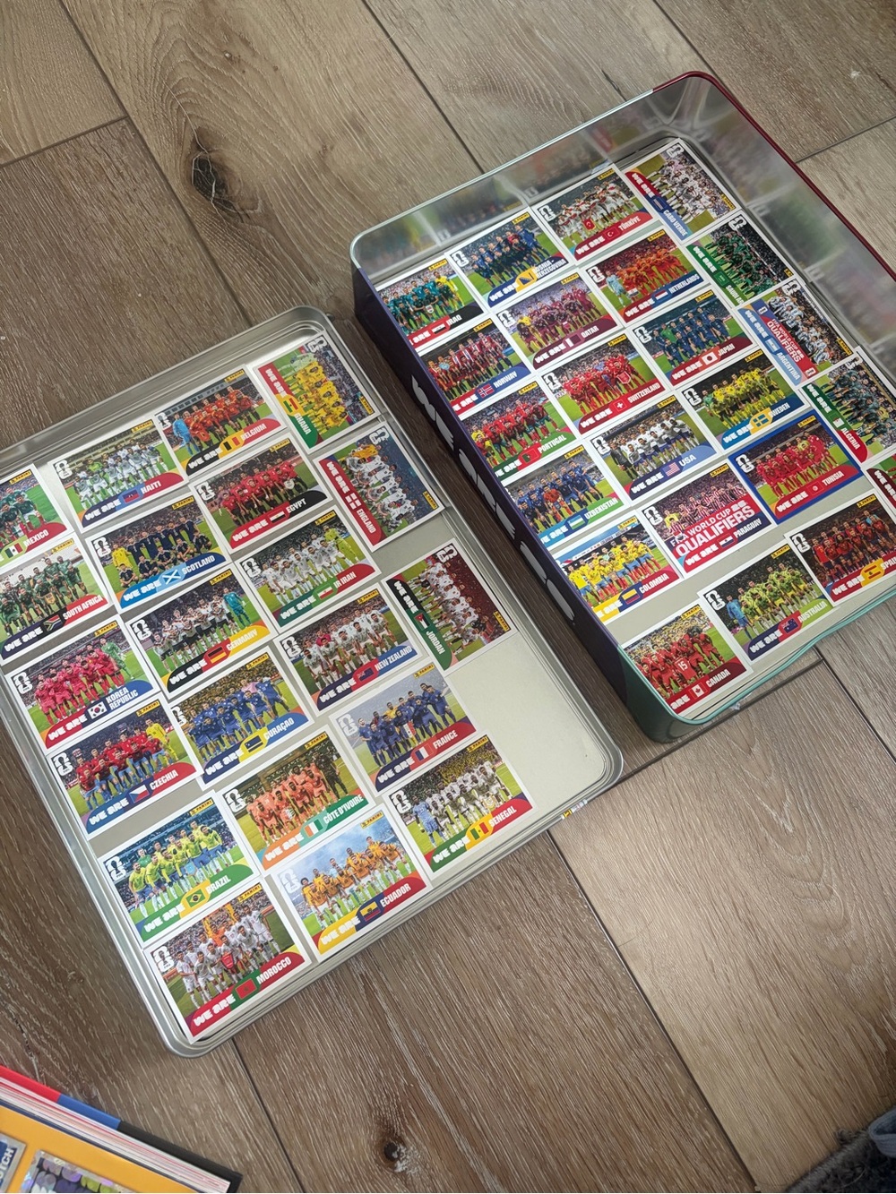 FIFA World Cup Panini Stickers - Team
